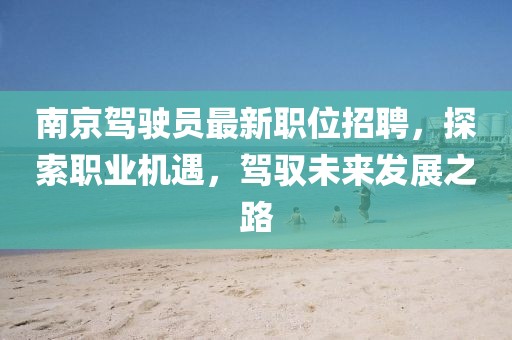 南京駕駛員最新職位招聘，探索職業(yè)機遇，駕馭未來發(fā)展之路