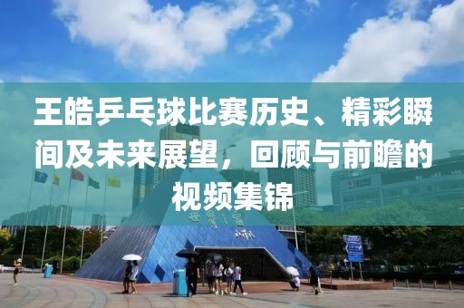 王皓乒乓球比賽歷史、精彩瞬間及未來展望，回顧與前瞻的視頻集錦