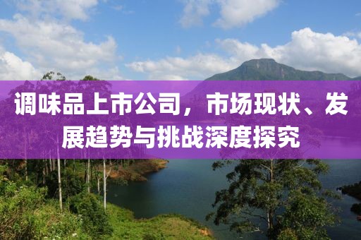 調(diào)味品上市公司，市場現(xiàn)狀、發(fā)展趨勢與挑戰(zhàn)深度探究