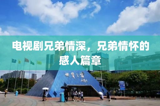 電視劇兄弟情深，兄弟情懷的感人篇章