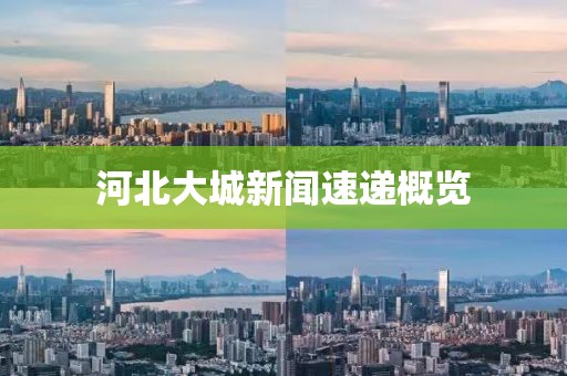 河北大城新聞速遞概覽