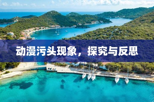 動(dòng)漫污頭現(xiàn)象，探究與反思