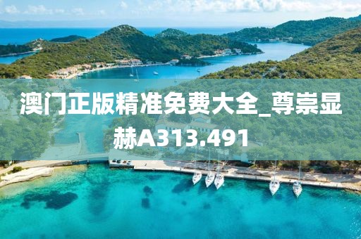 澳門正版精準(zhǔn)免費大全_尊崇顯赫A313.491