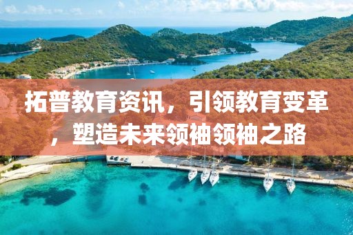 拓普教育資訊，引領(lǐng)教育變革，塑造未來領(lǐng)袖領(lǐng)袖之路