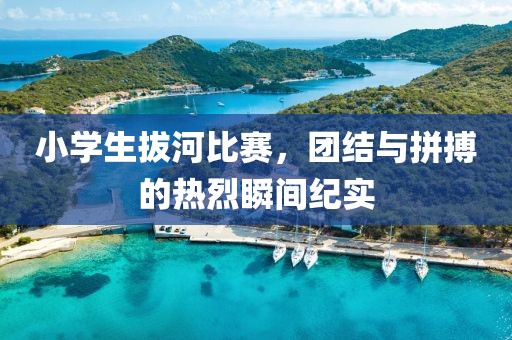 小學(xué)生拔河比賽，團(tuán)結(jié)與拼搏的熱烈瞬間紀(jì)實(shí)