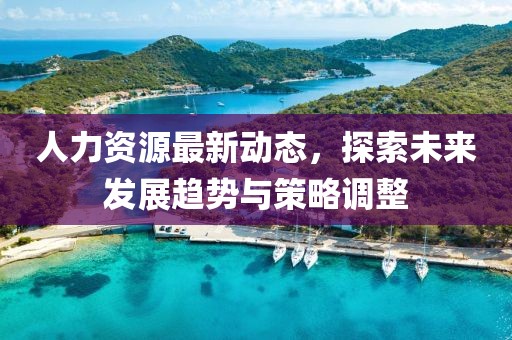 人力資源最新動態(tài)，探索未來發(fā)展趨勢與策略調(diào)整