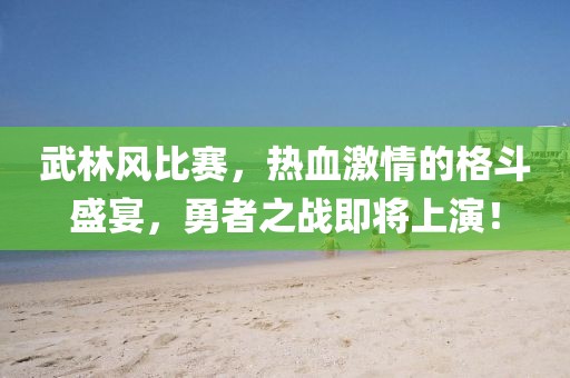 武林風(fēng)比賽，熱血激情的格斗盛宴，勇者之戰(zhàn)即將上演！