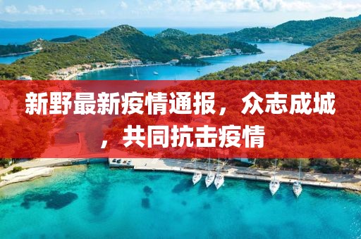 新野最新疫情通報(bào)，眾志成城，共同抗擊疫情