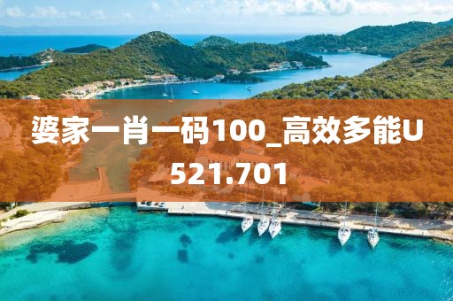婆家一肖一碼100_高效多能U521.701