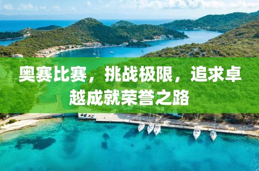奧賽比賽，挑戰(zhàn)極限，追求卓越成就榮譽之路