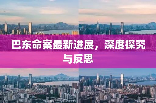 巴東命案最新進展，深度探究與反思