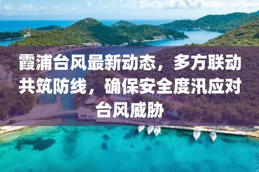 霞浦臺風最新動態(tài)，多方聯(lián)動共筑防線，確保安全度汛應(yīng)對臺風威脅