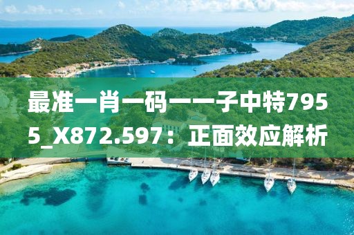 最準(zhǔn)一肖一碼一一子中特7955_X872.597：正面效應(yīng)解析