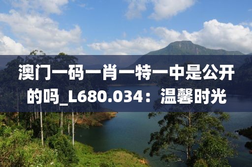 澳門一碼一肖一特一中是公開的嗎_L680.034：溫馨時(shí)光