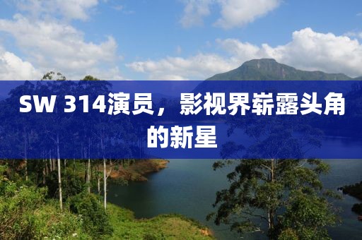 SW 314演員，影視界嶄露頭角的新星