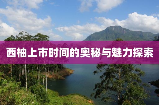 西柚上市時(shí)間的奧秘與魅力探索