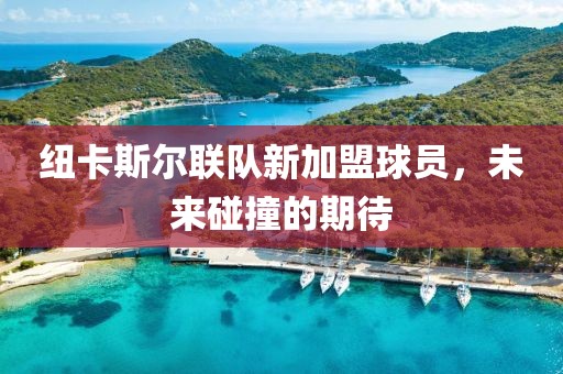 紐卡斯?fàn)柭?lián)隊(duì)新加盟球員，未來(lái)碰撞的期待