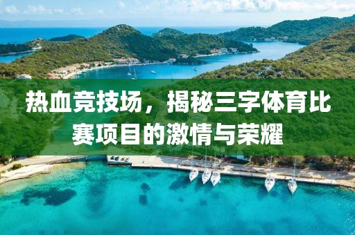 熱血競技場，揭秘三字體育比賽項目的激情與榮耀