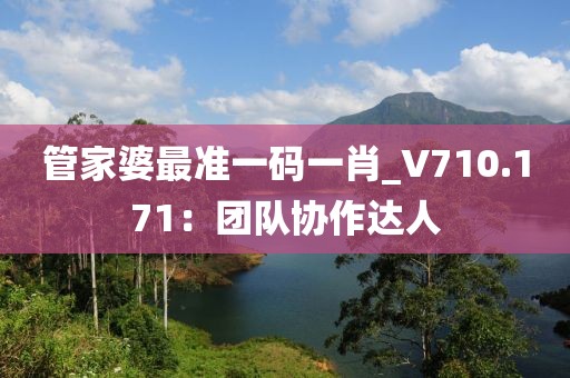 管家婆最準(zhǔn)一碼一肖_V710.171：團隊協(xié)作達人