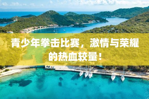 青少年拳擊比賽，激情與榮耀的熱血較量！