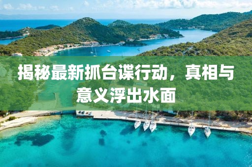 揭秘最新抓臺(tái)諜行動(dòng)，真相與意義浮出水面