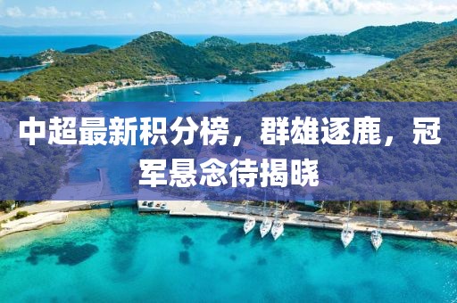 中超最新積分榜，群雄逐鹿，冠軍懸念待揭曉