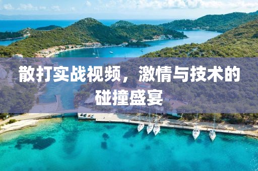 散打?qū)崙?zhàn)視頻，激情與技術(shù)的碰撞盛宴