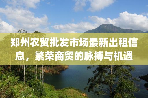 鄭州農(nóng)貿(mào)批發(fā)市場(chǎng)最新出租信息，繁榮商貿(mào)的脈搏與機(jī)遇