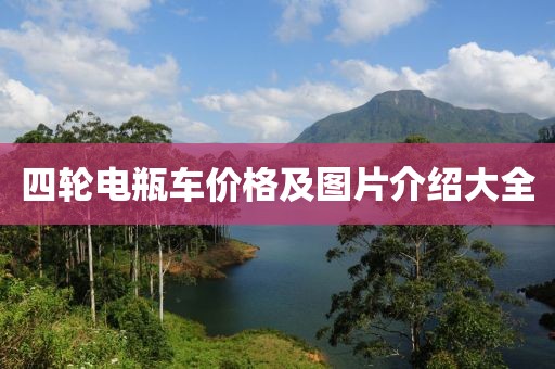 四輪電瓶車價(jià)格及圖片介紹大全