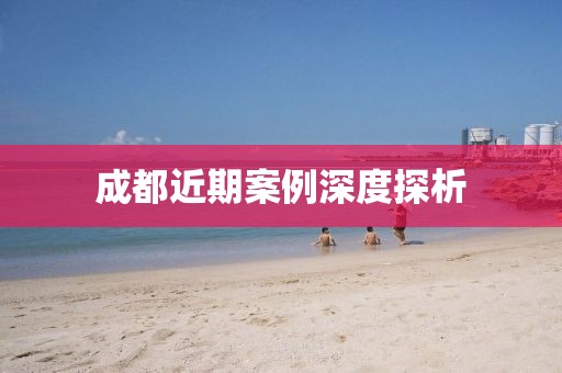 成都近期案例深度探析