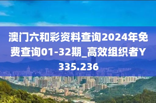 澳門六和彩資料查詢2024年免費(fèi)查詢01-32期_高效組織者Y335.236