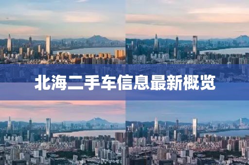 北海二手車信息最新概覽