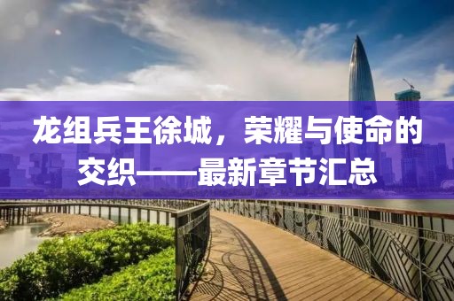 龍組兵王徐城，榮耀與使命的交織——最新章節(jié)匯總