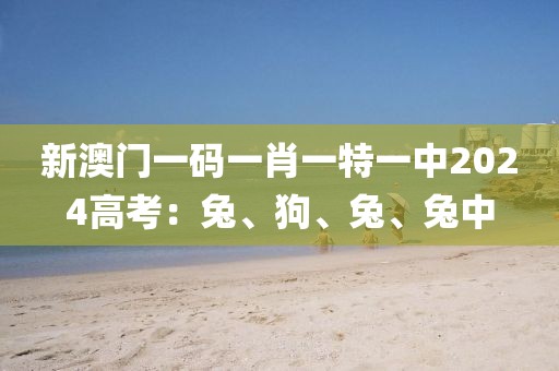 新澳門一碼一肖一特一中2024高考：兔、狗、兔、兔中