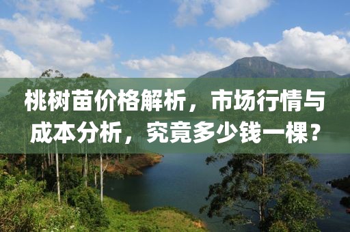 桃樹苗價格解析，市場行情與成本分析，究竟多少錢一棵？