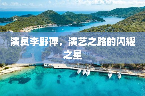 演員李野萍，演藝之路的閃耀之星