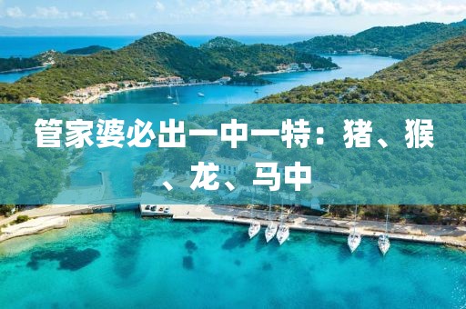 管家婆必出一中一特：豬、猴、龍、馬中