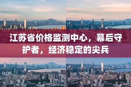 江蘇省價(jià)格監(jiān)測(cè)中心，幕后守護(hù)者，經(jīng)濟(jì)穩(wěn)定的尖兵