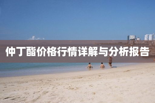 仲丁酯價格行情詳解與分析報告