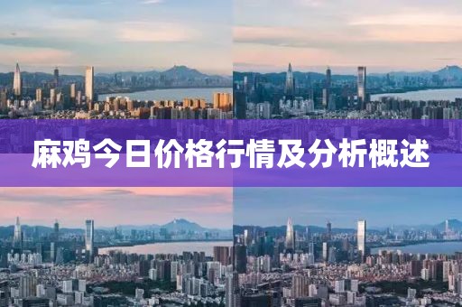 麻雞今日價(jià)格行情及分析概述