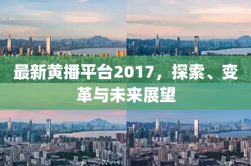 最新黃播平臺(tái)2017，探索、變革與未來(lái)展望