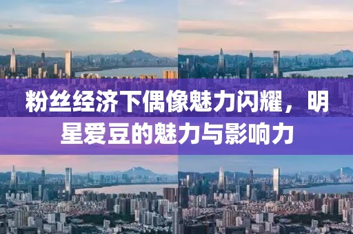 粉絲經(jīng)濟下偶像魅力閃耀，明星愛豆的魅力與影響力