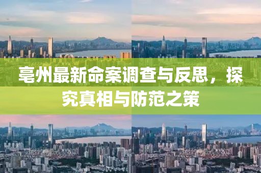 亳州最新命案調(diào)查與反思，探究真相與防范之策