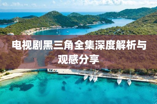 電視劇黑三角全集深度解析與觀感分享