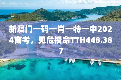 新澳門一碼一肖一特一中2024高考，見危授命TTH448.387
