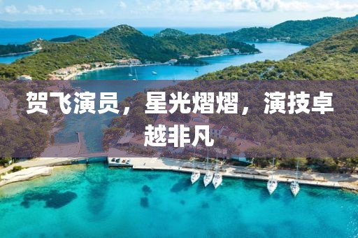 賀飛演員，星光熠熠，演技卓越非凡