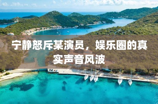 寧?kù)o怒斥某演員，娛樂圈的真實(shí)聲音風(fēng)波