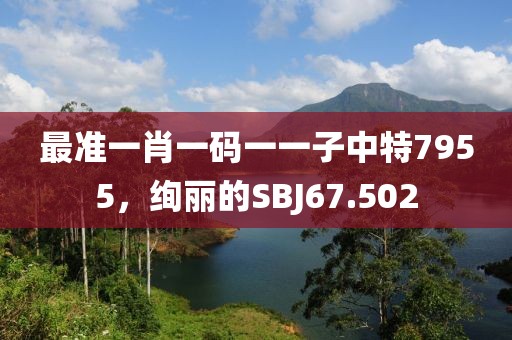最準一肖一碼一一子中特7955，絢麗的SBJ67.502