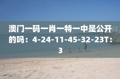 澳門一碼一肖一特一中是公開的嗎：4-24-11-45-32-23T：3