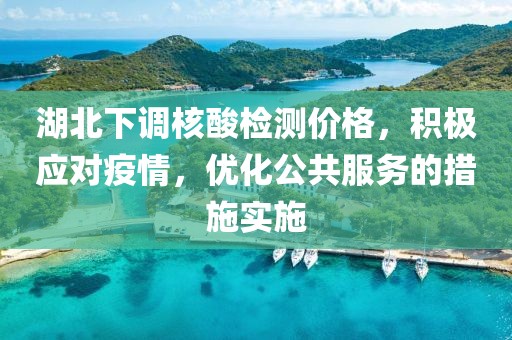 湖北下調(diào)核酸檢測價格，積極應(yīng)對疫情，優(yōu)化公共服務(wù)的措施實施